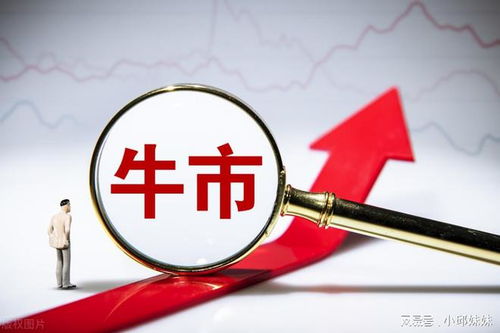 知識產權保護概念股蓄勢待發 政策風口下，龍頭引領行業機遇