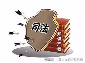 知識(shí)產(chǎn)權(quán)司法 公信力與國際影響力的雙重躍升與服務(wù)效能優(yōu)化