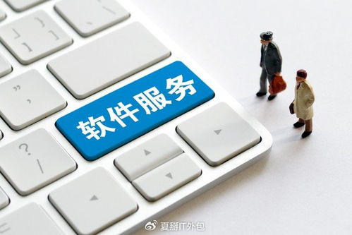 軟件開發板塊震蕩走強，上海IT運維外包迎發展新機遇